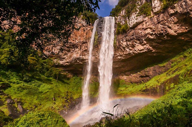 Leia mais sobre o artigo Tour Pé da Cascata Explorer