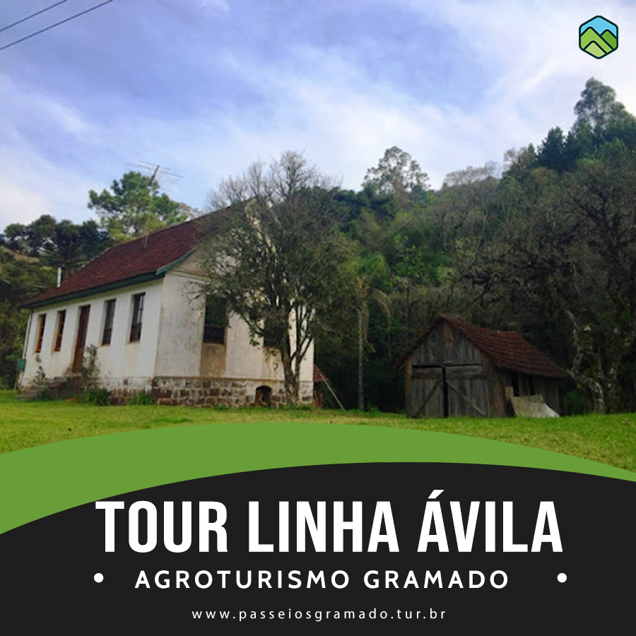 Leia mais sobre o artigo O que fazer em Gramado e Canela no inverno?