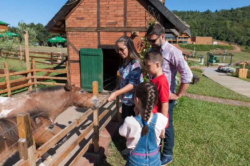 tour-olivas-de-gramado-14