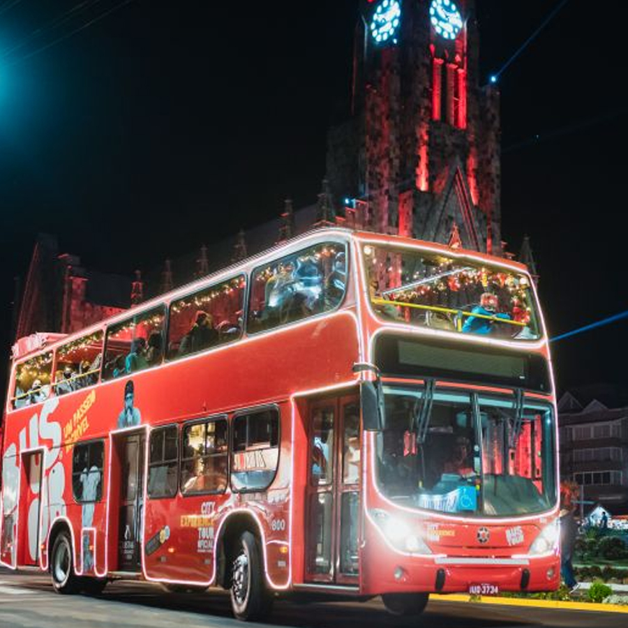Read more about the article Bustour Illumination Show